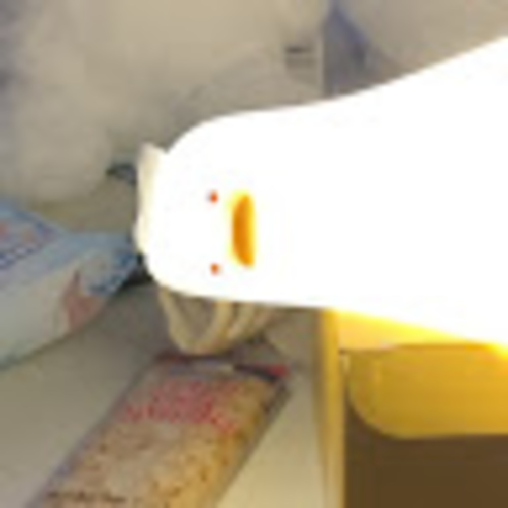 Meet your Posher, Angel